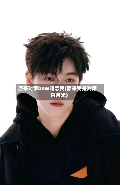 原来对家boss暗恋我(原来我是对家白月光)