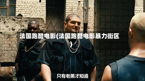 法国跑酷电影(法国跑酷电影暴力街区)-第2张图片