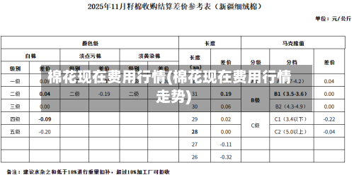 棉花现在费用行情(棉花现在费用行情走势)-第2张图片
