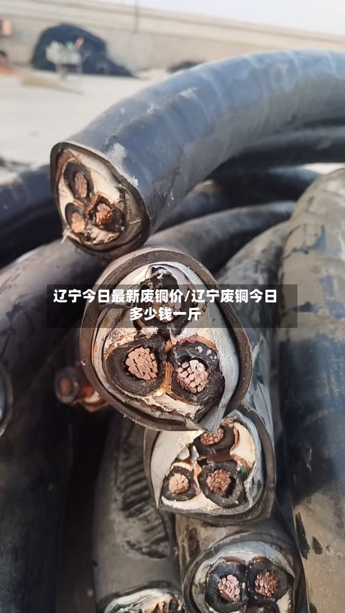 辽宁今日最新废铜价/辽宁废铜今日多少钱一斤