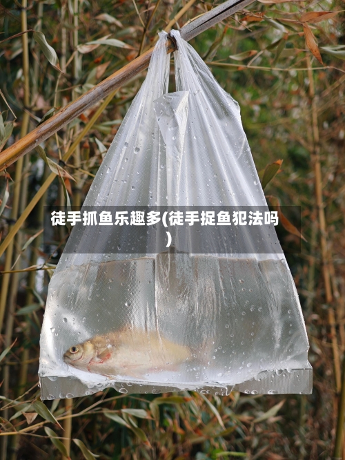徒手抓鱼乐趣多(徒手捉鱼犯法吗)-第2张图片