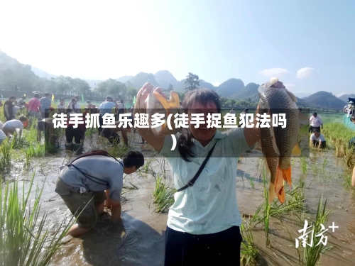徒手抓鱼乐趣多(徒手捉鱼犯法吗)