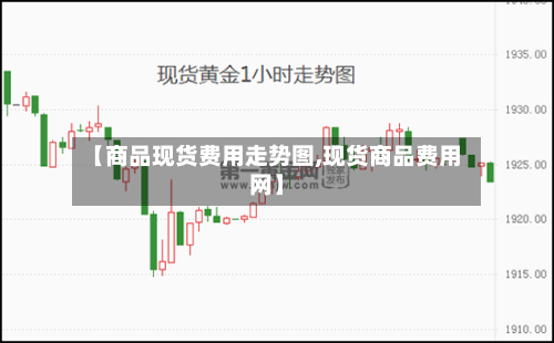 【商品现货费用走势图,现货商品费用网】