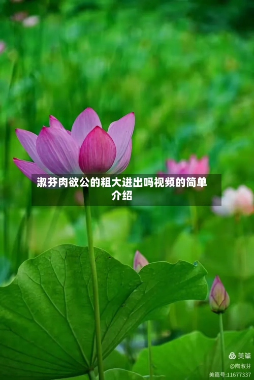 淑芬肉欲公的粗大进出吗视频的简单介绍-第2张图片