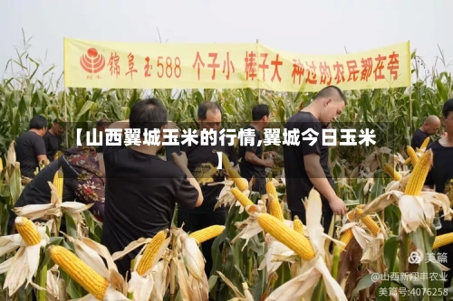 【山西翼城玉米的行情,翼城今日玉米】