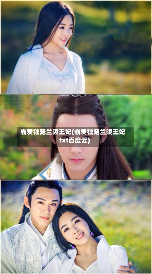 霸爱独宠兰陵王妃(霸爱独宠兰陵王妃txt百度云)-第2张图片