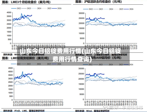 山东今日铝锭费用行情(山东今日铝锭费用行情查询)