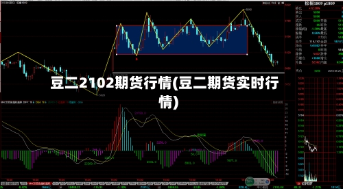豆二2102期货行情(豆二期货实时行情)-第2张图片