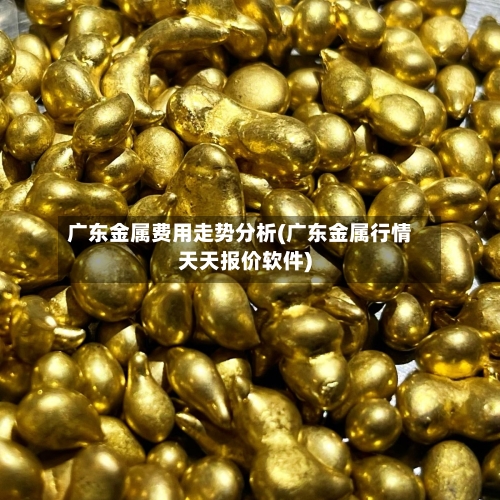 广东金属费用走势分析(广东金属行情天天报价软件)