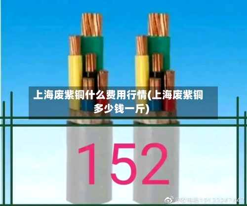 上海废紫铜什么费用行情(上海废紫铜多少钱一斤)