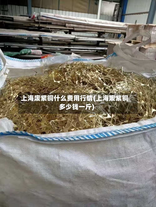 上海废紫铜什么费用行情(上海废紫铜多少钱一斤)-第2张图片