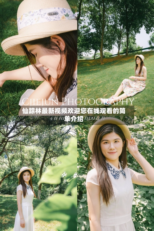 仙踪林最新视频欢迎您在线观看的简单介绍-第2张图片
