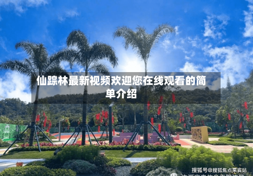 仙踪林最新视频欢迎您在线观看的简单介绍