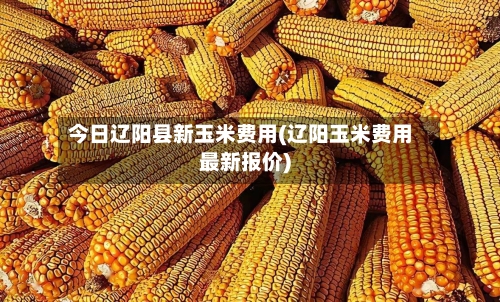 今日辽阳县新玉米费用(辽阳玉米费用最新报价)-第2张图片