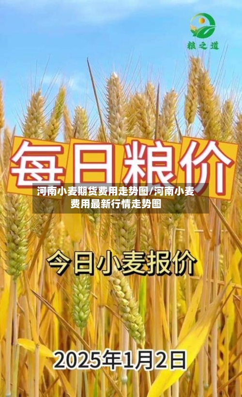 河南小麦期货费用走势图/河南小麦费用最新行情走势图-第2张图片