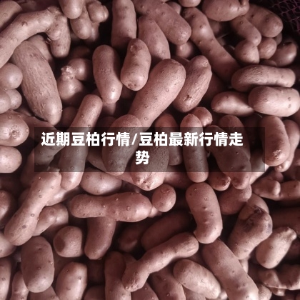 近期豆柏行情/豆柏最新行情走势