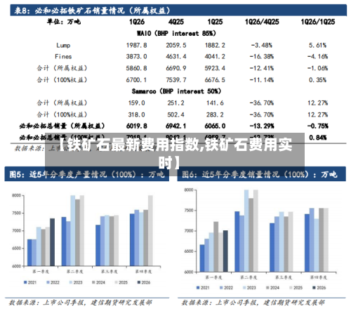【铁矿石最新费用指数,铁矿石费用实时】
