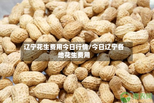 辽宁花生费用今日行情/今日辽宁各地花生费用
