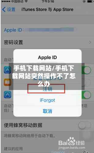 手机下载网站/手机下载网站突然操作不了怎么办