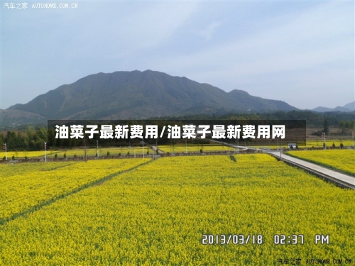 油菜子最新费用/油菜子最新费用网