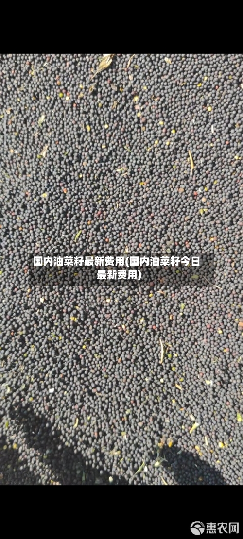 国内油菜籽最新费用(国内油菜籽今日最新费用)