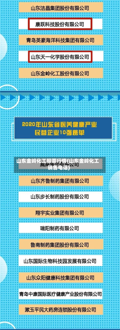 山东金岭化工股票行情(山东金岭化工销售电话)-第2张图片