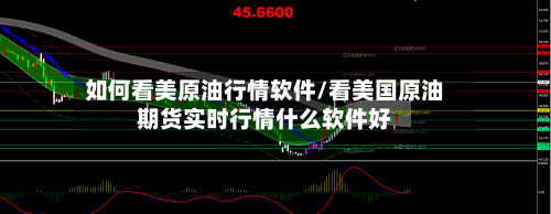如何看美原油行情软件/看美国原油期货实时行情什么软件好-第2张图片