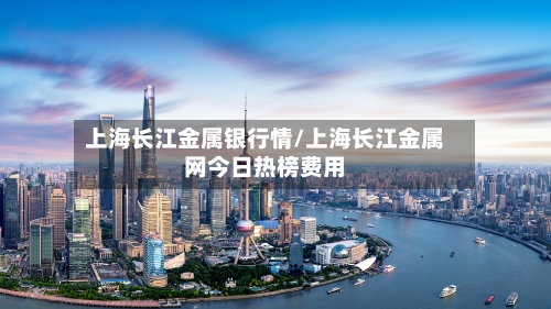 上海长江金属银行情/上海长江金属网今日热榜费用-第2张图片