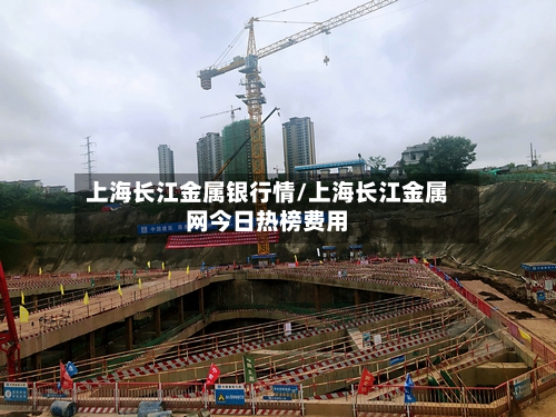 上海长江金属银行情/上海长江金属网今日热榜费用-第3张图片