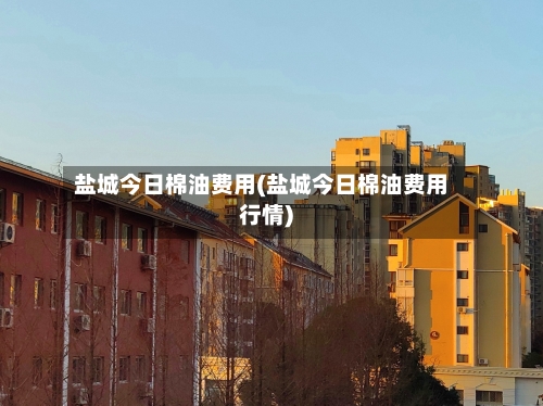 盐城今日棉油费用(盐城今日棉油费用行情)