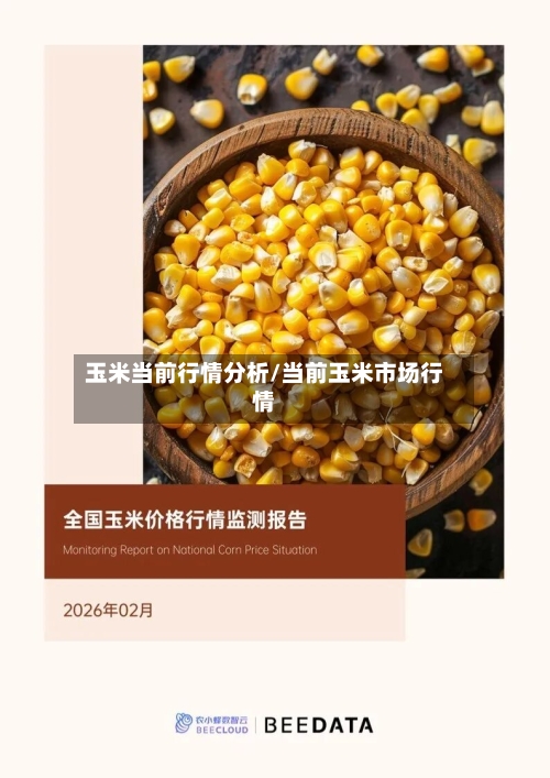 玉米当前行情分析/当前玉米市场行情