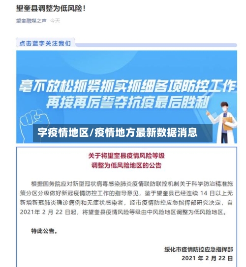 字疫情地区/疫情地方最新数据消息