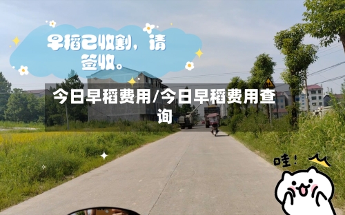 今日早稻费用/今日早稻费用查询-第2张图片