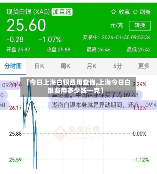 【今日上海白银费用查询,上海今日白银费用多少钱一克】-第2张图片