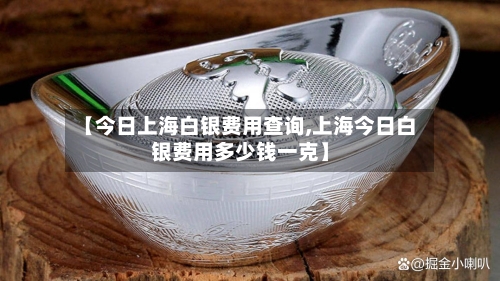 【今日上海白银费用查询,上海今日白银费用多少钱一克】-第3张图片