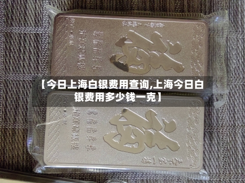【今日上海白银费用查询,上海今日白银费用多少钱一克】