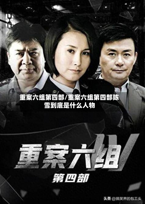 重案六组第四部/重案六组第四部陈雪到底是什么人物-第2张图片