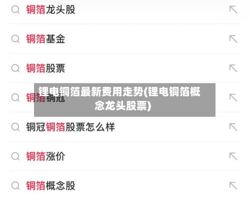 锂电铜箔最新费用走势(锂电铜箔概念龙头股票)-第2张图片