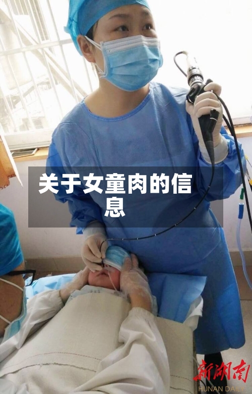 关于女童肉的信息