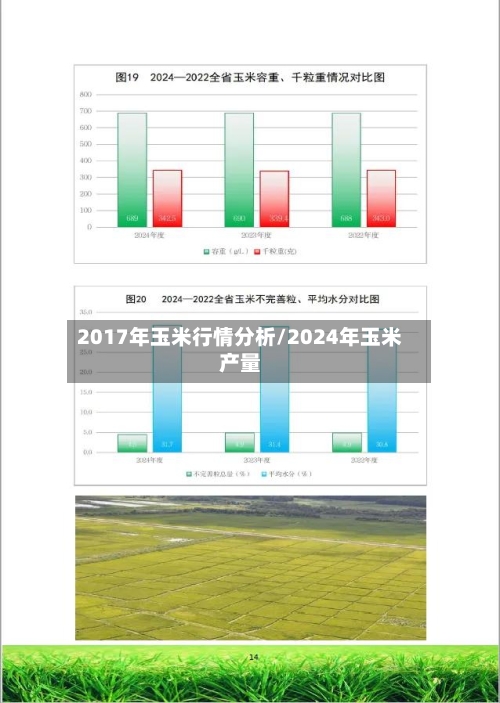 2017年玉米行情分析/2024年玉米产量