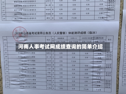河南人事考试网成绩查询的简单介绍