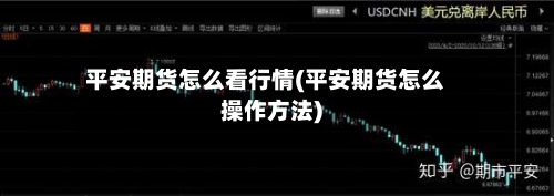 平安期货怎么看行情(平安期货怎么操作方法)-第2张图片