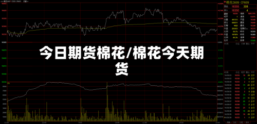 今日期货棉花/棉花今天期货-第2张图片