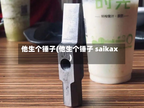 他生个锤子(他生个锤子 saikax)
