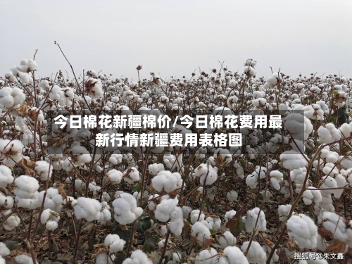 今日棉花新疆棉价/今日棉花费用最新行情新疆费用表格图