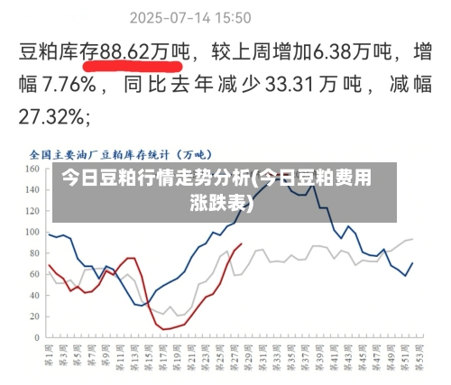 今日豆粕行情走势分析(今日豆粕费用涨跌表)