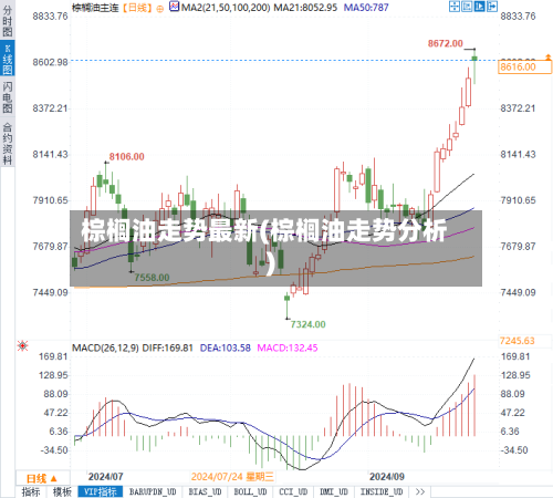 棕榈油走势最新(棕榈油走势分析)-第2张图片