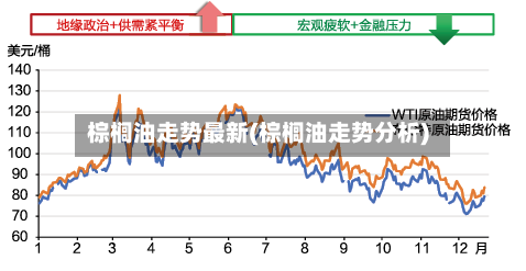 棕榈油走势最新(棕榈油走势分析)-第3张图片