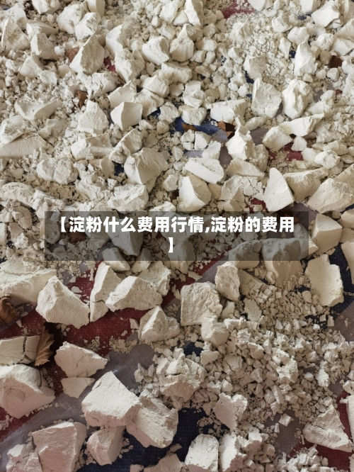 【淀粉什么费用行情,淀粉的费用】