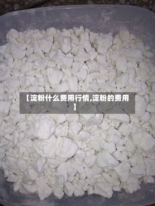 【淀粉什么费用行情,淀粉的费用】-第2张图片